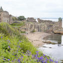 12791   Scenic view of the ruins of St Andrews Castle