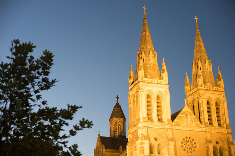 The Gothic spires of St Peters Cathedral, Adelaide, Australia illuminated at dusk viewed past a leafy green tree in a close up view