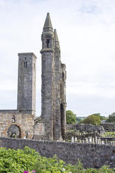 12795   Ruins of St Andrews Cathedral in Fife, Scotland