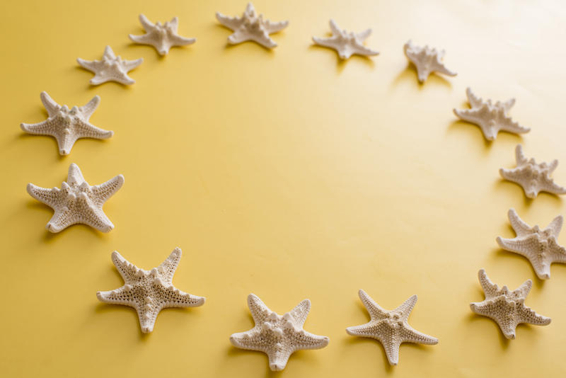 Circle of clean white dried starfish on a yellow background with copy space for your marine, nautical or summer vacation themes