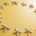 13112   Circle of clean white dried starfish on yellow
