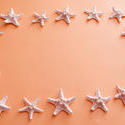 13113   Starfish frame on an orange background