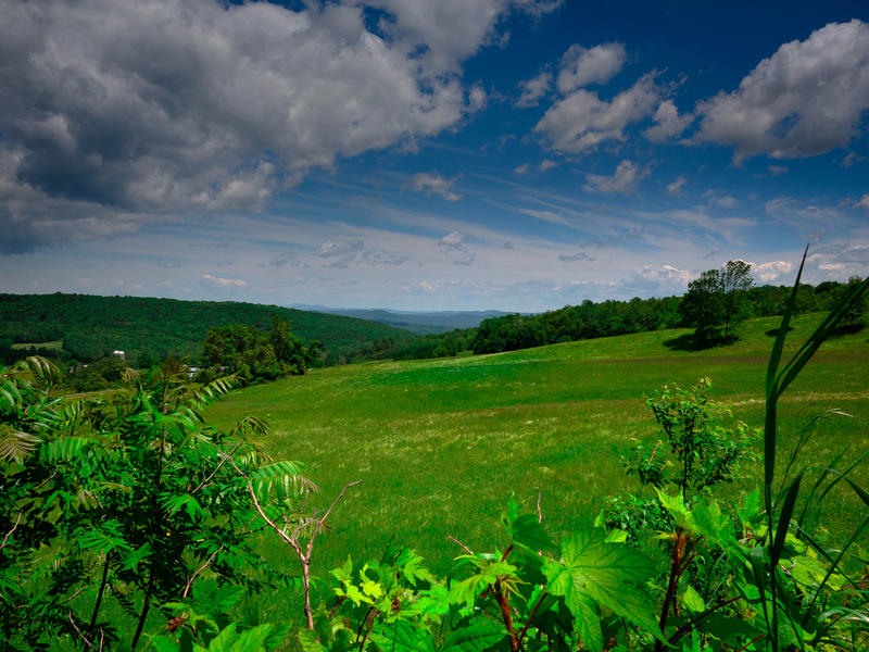 <p>Meadow in the summer in Vermont.</p>
