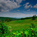 12040   summer meadow vermont