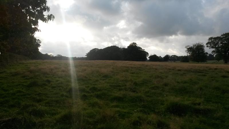 <p>September sun on the fields of Norfolk UK</p>