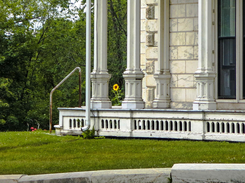 <p>Solo sunflower by the portch of the old marble hotel.</p>
