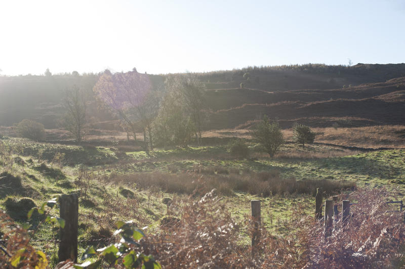 Sunny landscape with sun flare, a rustic fence and open fields and meadows leading to rolling hills