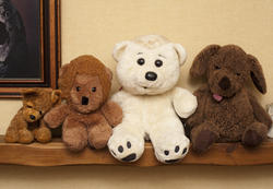 11976   Row of assorted soft plush toys on a shelf