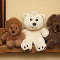 11976   Row of assorted soft plush toys on a shelf