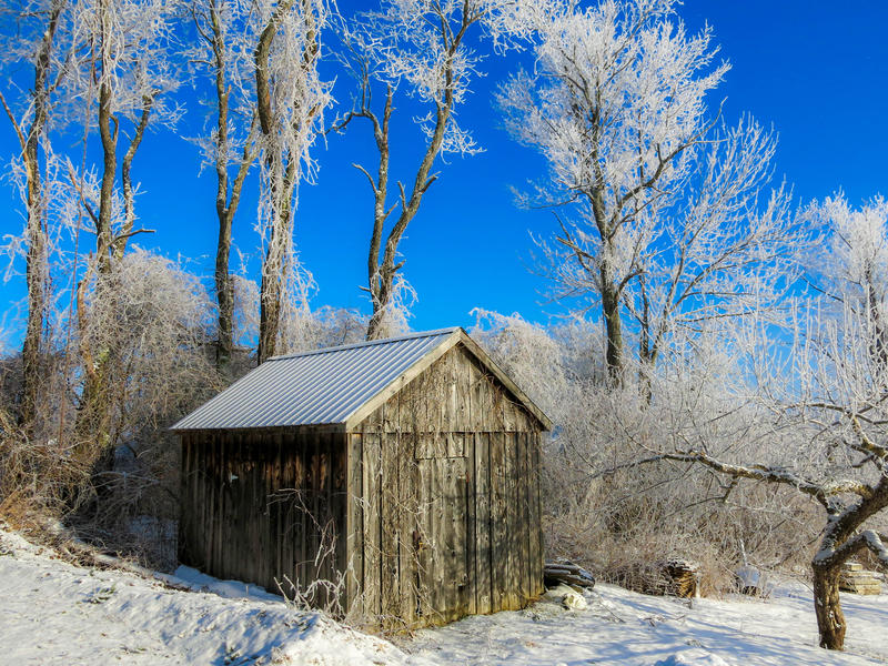 <p>Weathered wooden shed in the sub-zero Winter with frozen trees and snow on the ground and a brilliant blue, cloudless, morning sky in Randolph Center, Vermont.</p>
