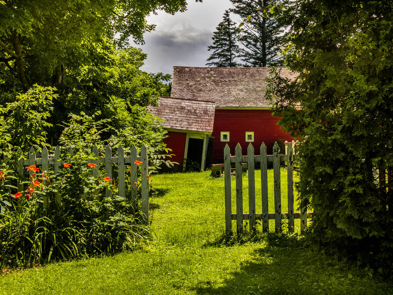 <p>Red barn with white gate and orange flowers on a bright, Spring day.</p>