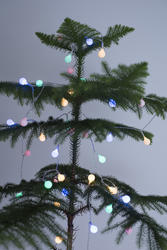 13163   Sparkling round Christmas lights on a natural tree