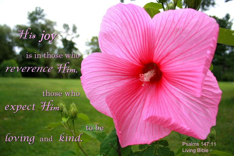 <p>My Mother's flower</p>
My Mother's flower