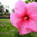 11882   Unfailing Love