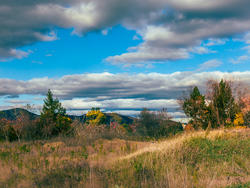 13052   vt landscape