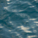 12665   Rippling water abstract background texture
