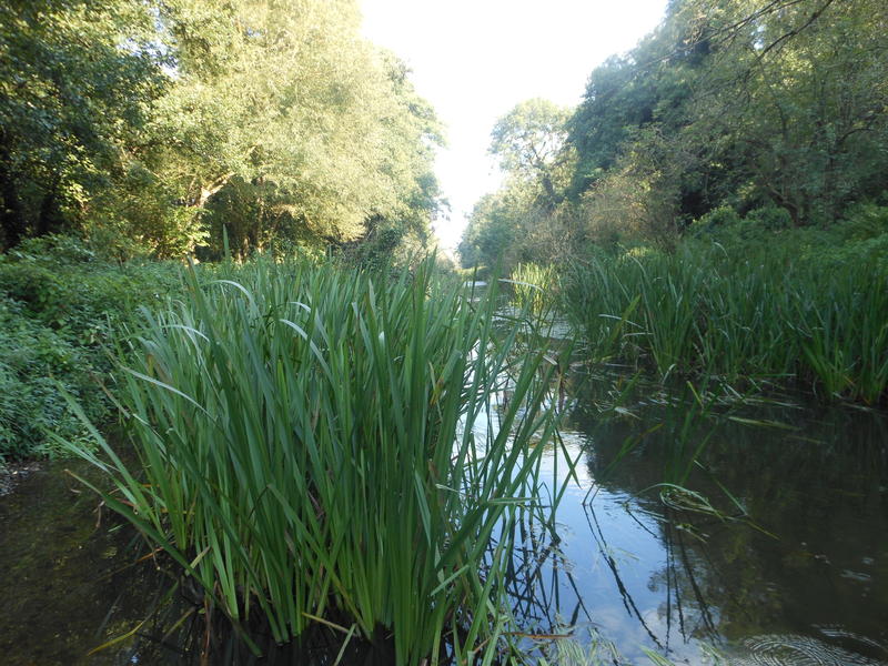 <p>September in Norfolk UK watery views</p>
