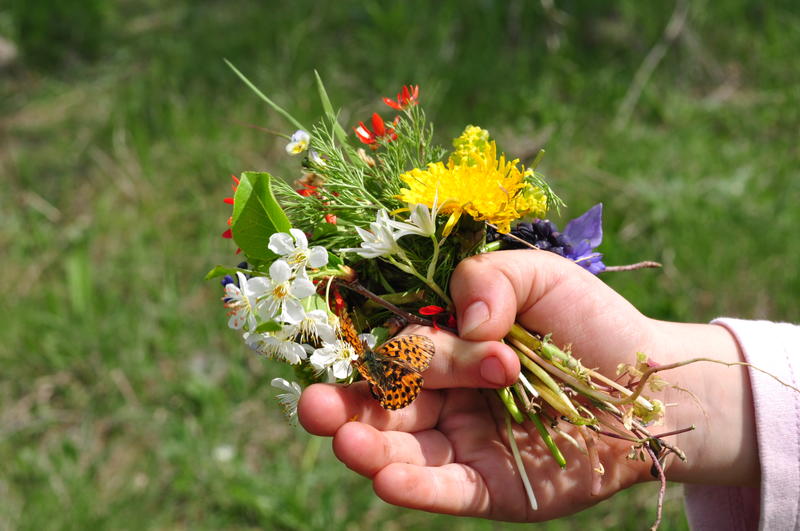 <p>Bright bouquet of wildflowers.</p>