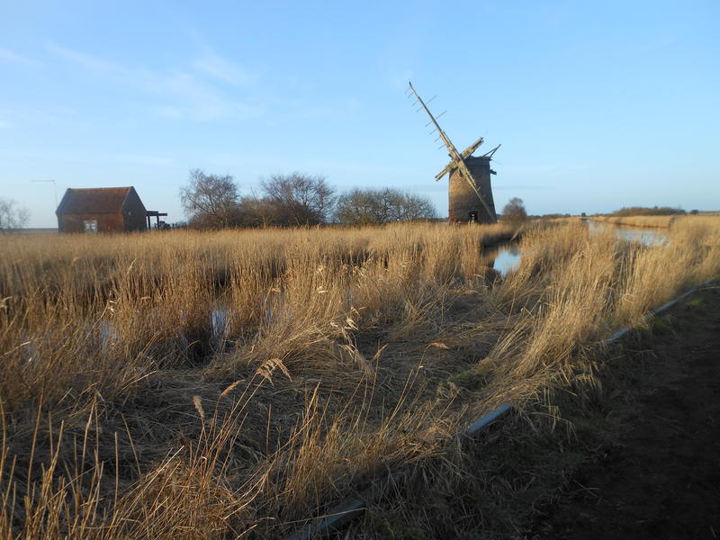 <p>Norfolk UK windmill</p>

