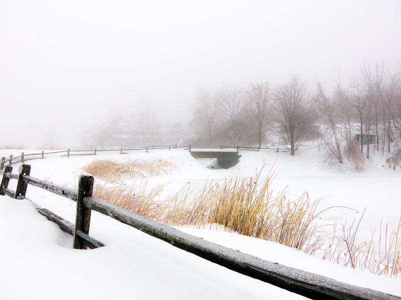 <p>Post and rail fence after the snowfall with tall yellow grass and woods in the distance.</p>
