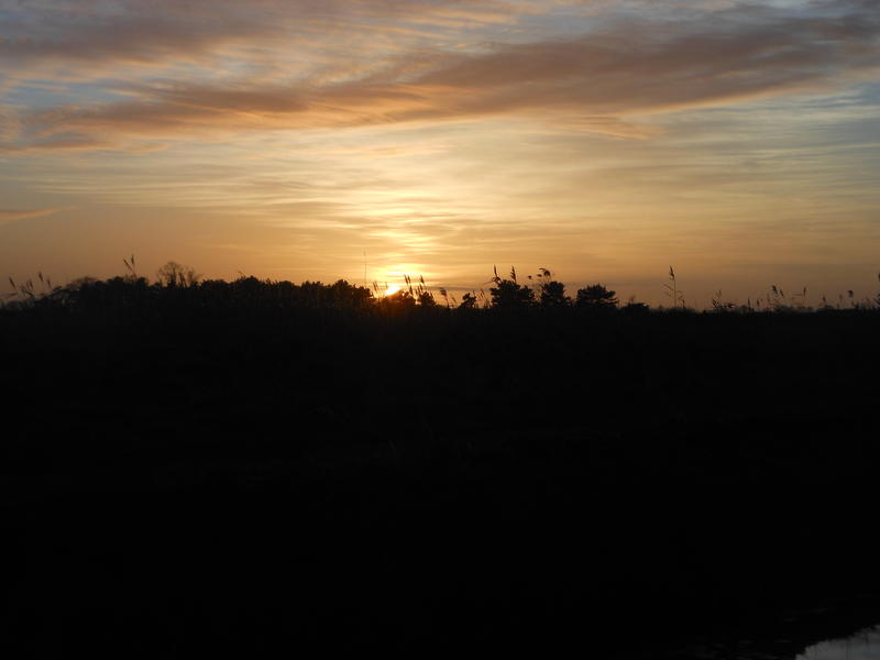 <p>Norfolk UK February sunset</p>