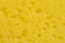 12690   Close up macro of the surface of a sponge