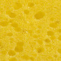 12690   Close up macro of the surface of a sponge