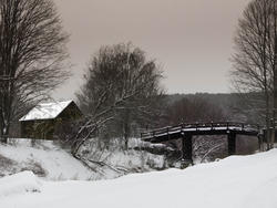 12089   zen bridge