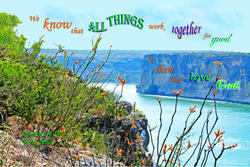 17456   All Things Good