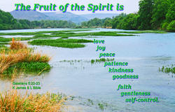 17633   The Fruit of the Spirit Is