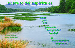 17632   El Fruto del Espiritu Es