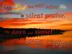 17530   Silent Praise