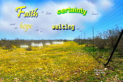 17454   Faith is the Certainty