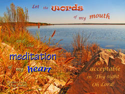 17546   Acceptable Words and Meditation