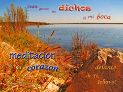 17545   Dichos Y Meditacion Aceptable