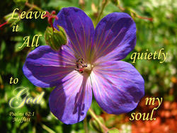 17596   Leave it All to God