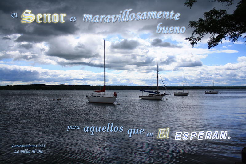 <p>Sailboats on lake with overcast, cloudy sky</p>
Sailboats anchored on lake with overcast, cloudy sky