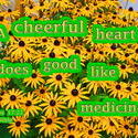 17571   Cheerful Heart Like Medicine