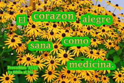 17570   Corazon Alegre Como Medicina