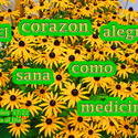 17570   Corazon Alegre Como Medicina