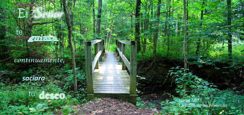 <p>Footbridge in a New York State park</p>
Footbridge in a New York State park