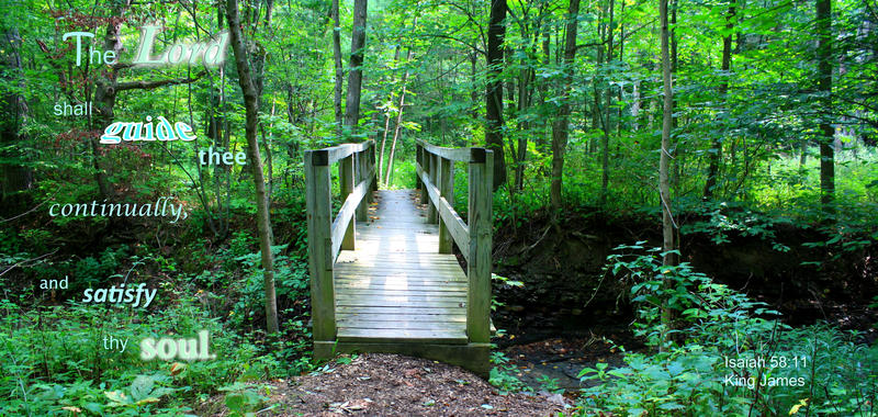 <p>Footbridge in a New York State park</p>
Footbridge in a New York State park