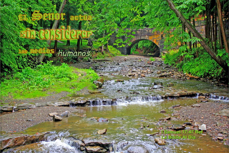 <p>Letchworth State Park, creek running through forest</p>
Letchworth State Park, creek running through forest