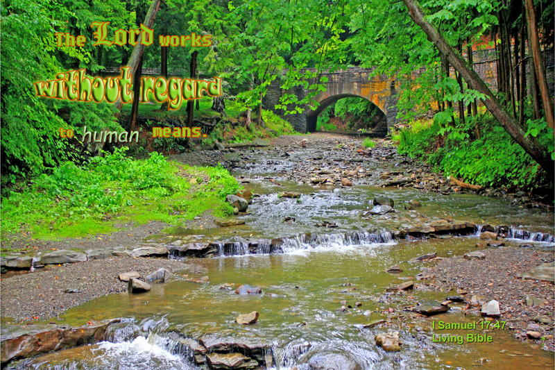 <p>Letchworth State Park, creek running through the forest</p>
Letchworth State Park, creek running through forest