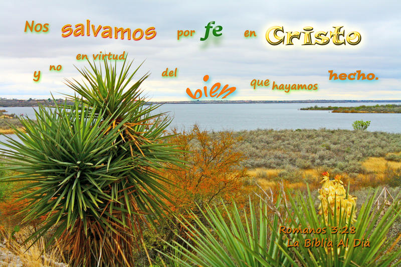 <p>Cactus on shore of Lake Amistad, TX, USA</p>
Cactus on shore of Lake Amistad TX, USA