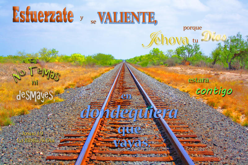 <p>Railroad track running to forever</p>
Railroad track running to infinity
