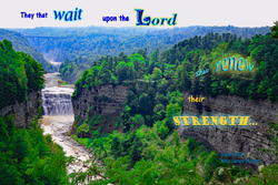 17434   The Lord Renews Strength
