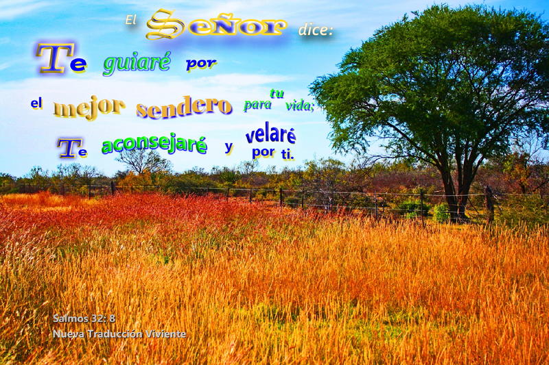 <p>Wild grass in fall color grows in a field with a pasture tree and fence.</p>
Wild grass in fall color grows in a field with a pasture tree and fence