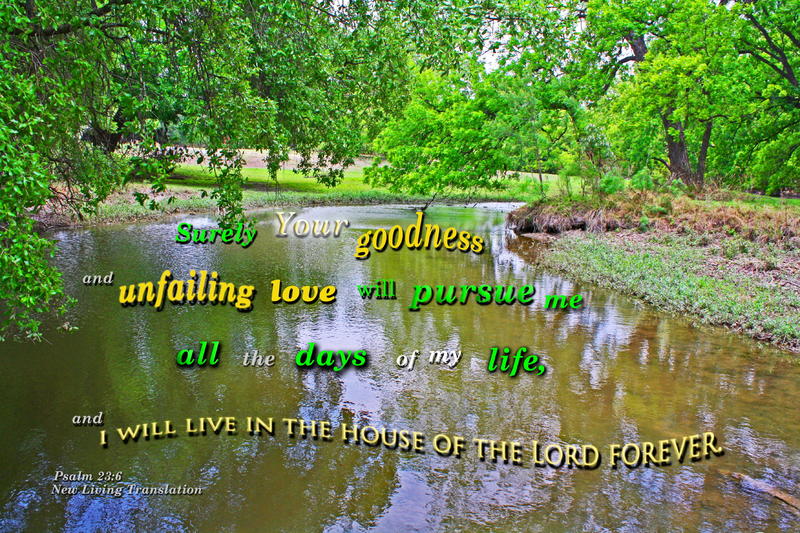 <p>Creek with trees and lovely reflections created</p>
Creek with trees and lovely reflections created