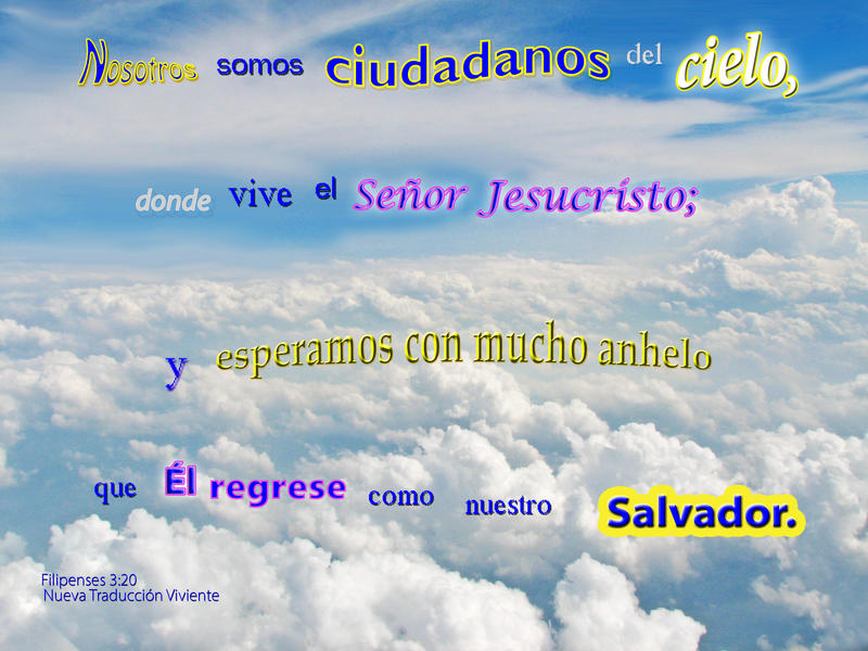 <p>Above the clouds flying with thoughts of heaven</p>
Above the clouds flying with thoughts of heaven